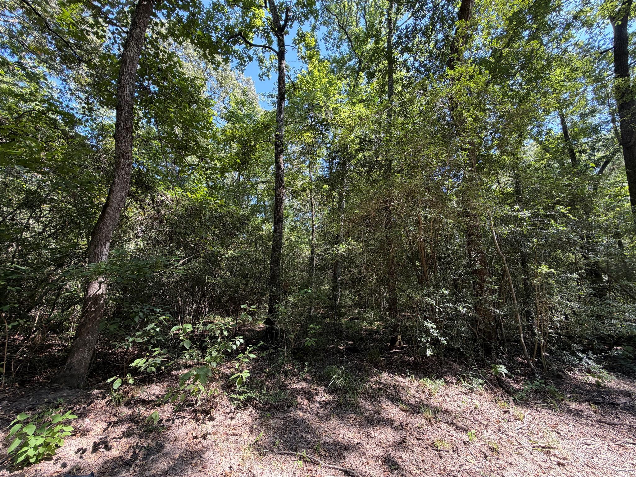 97-22-19 Granite Road