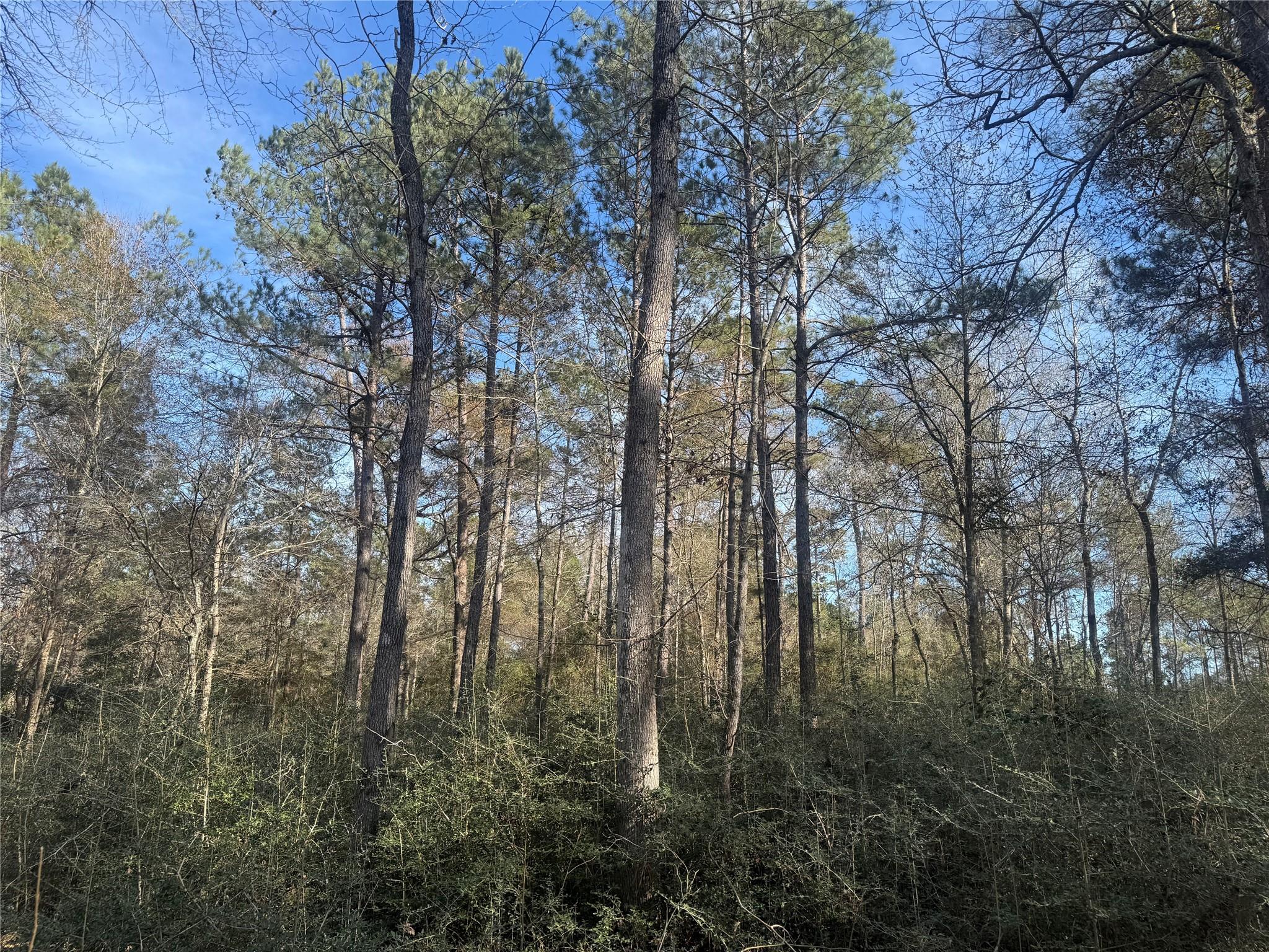 87-22-10 Granite Road