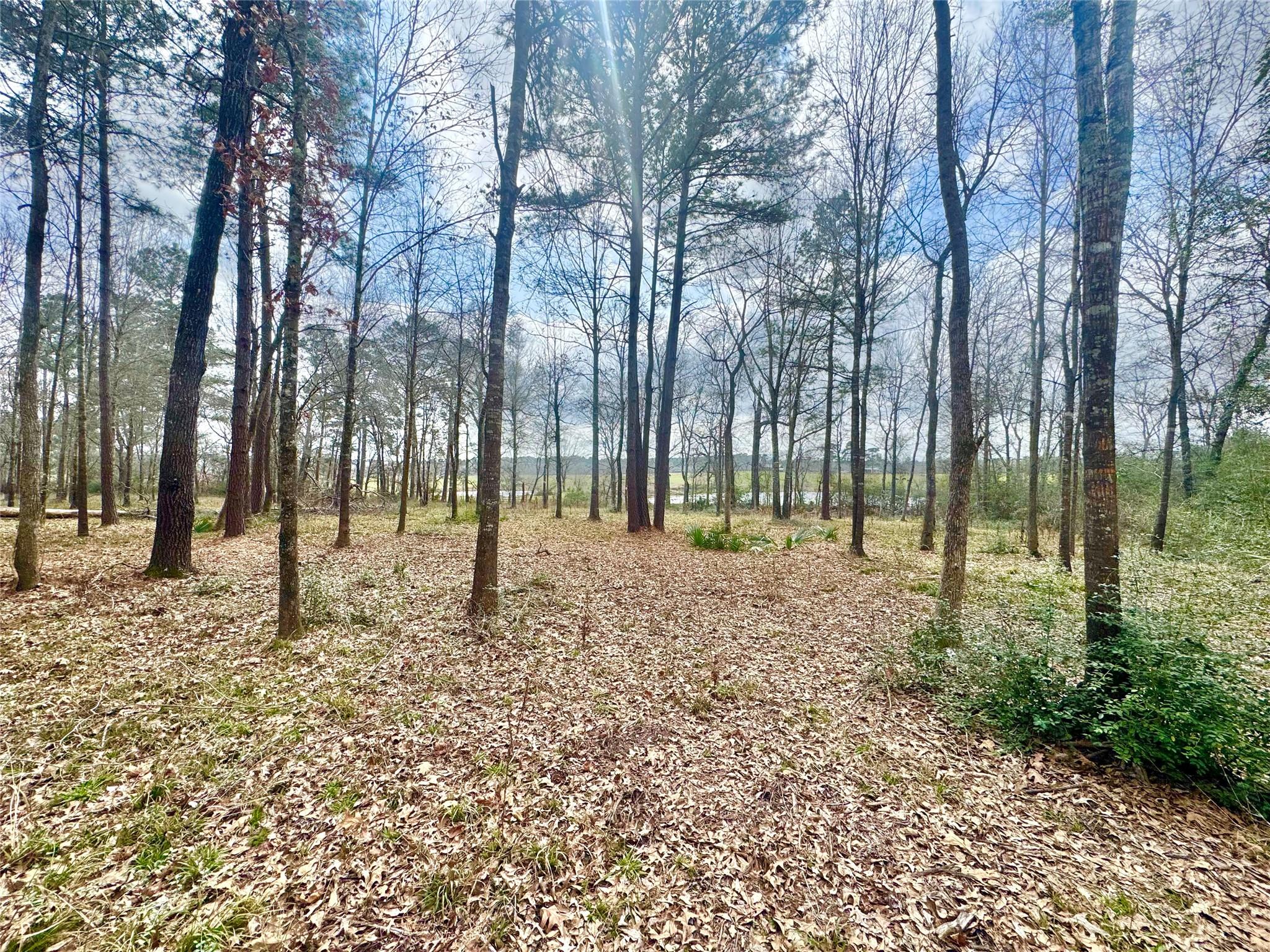 178 Stagecoach Circle