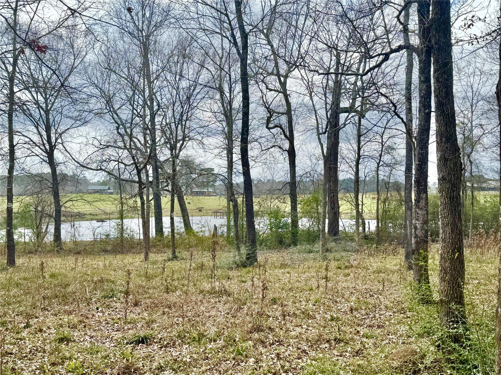 178 Stagecoach Circle