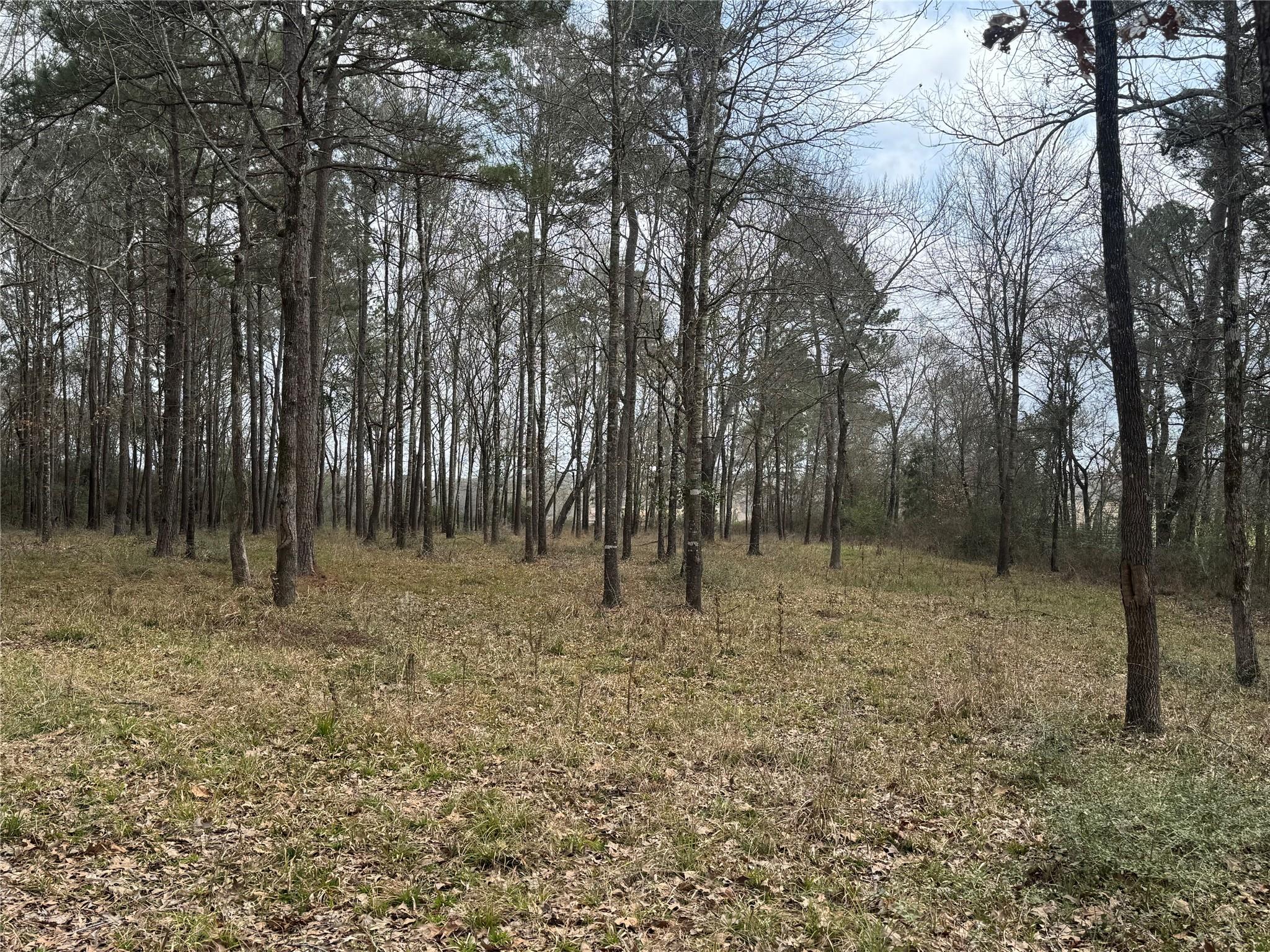 178 Stagecoach Circle