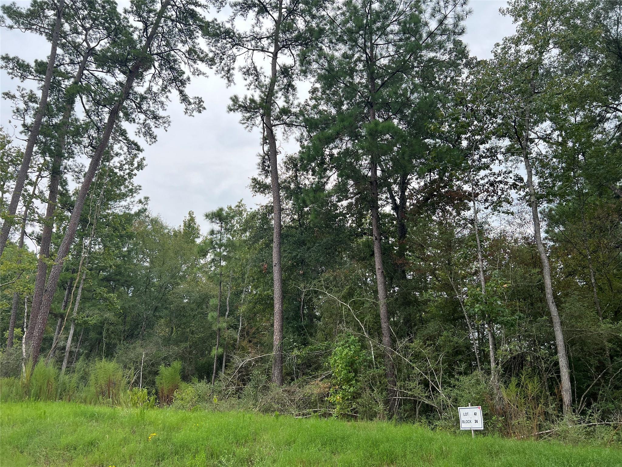 47-34-15 Alamo Drive