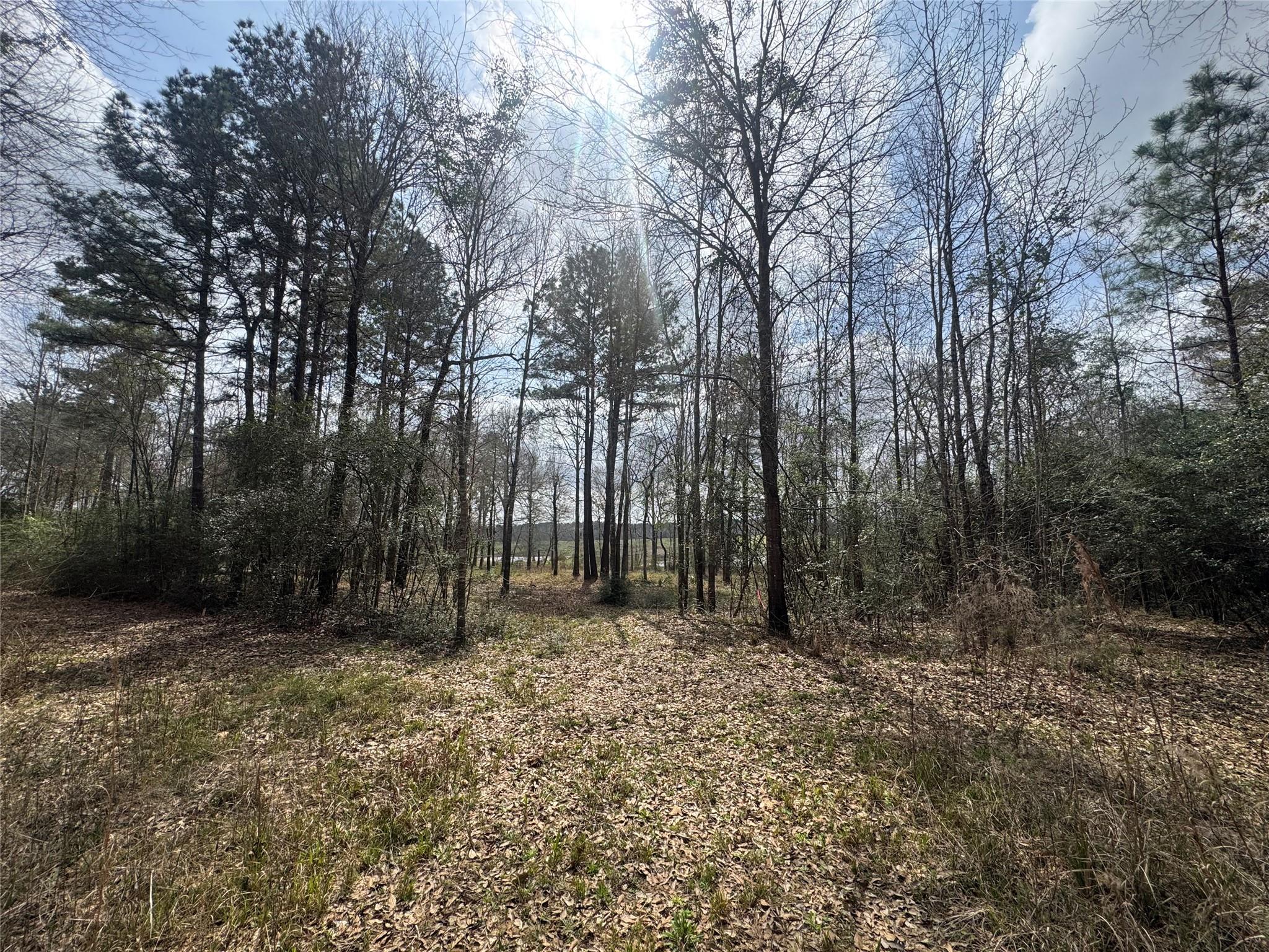 178 Stagecoach Circle