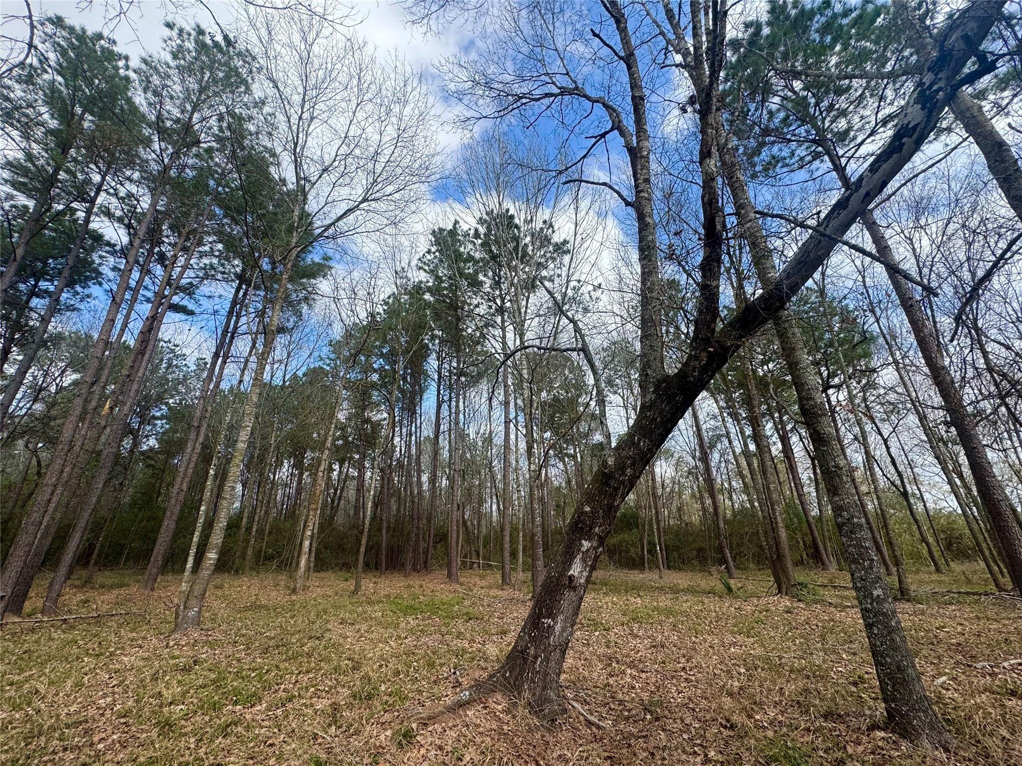 178 Stagecoach Circle