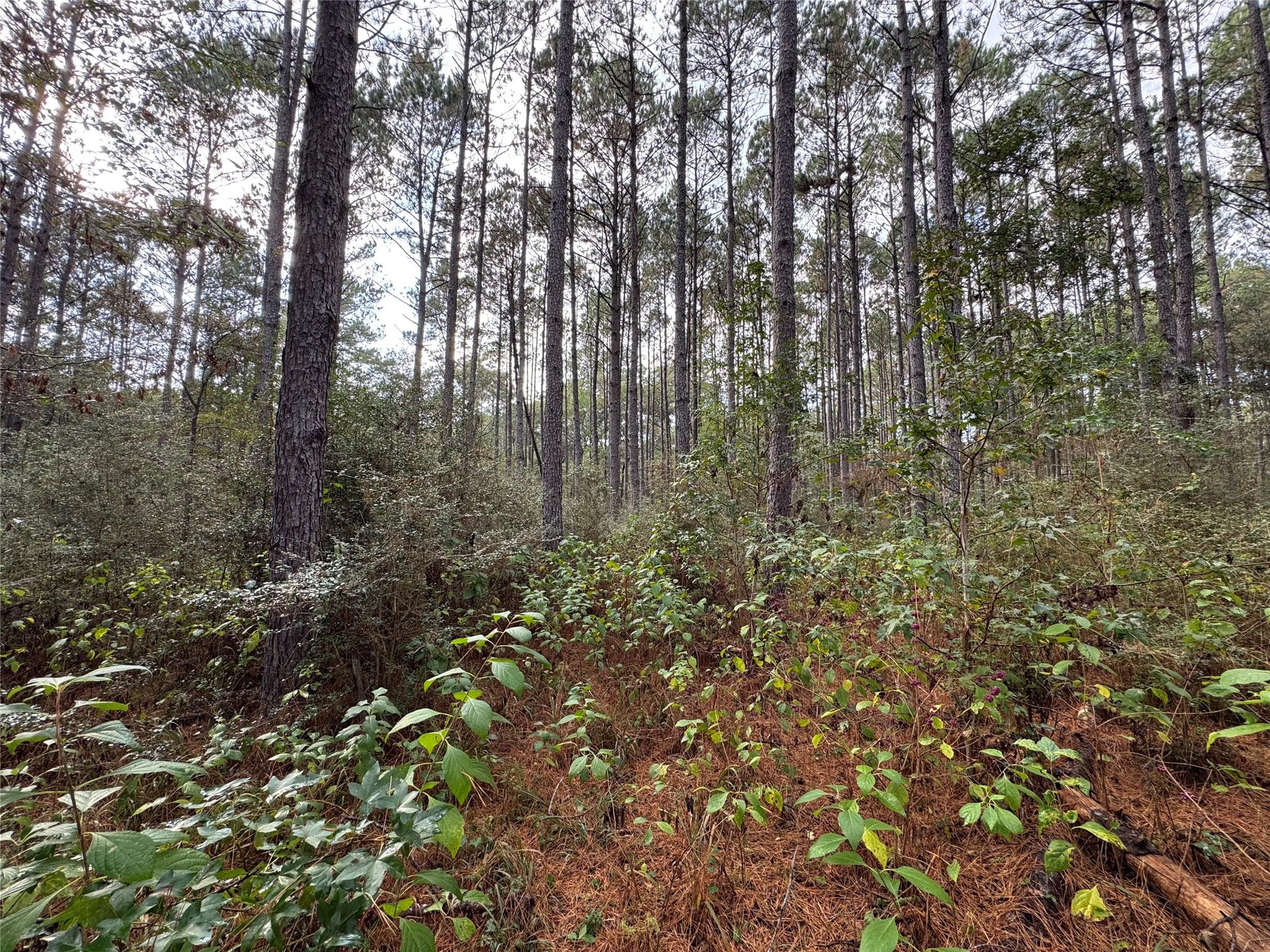 64-22-12 Granite Road