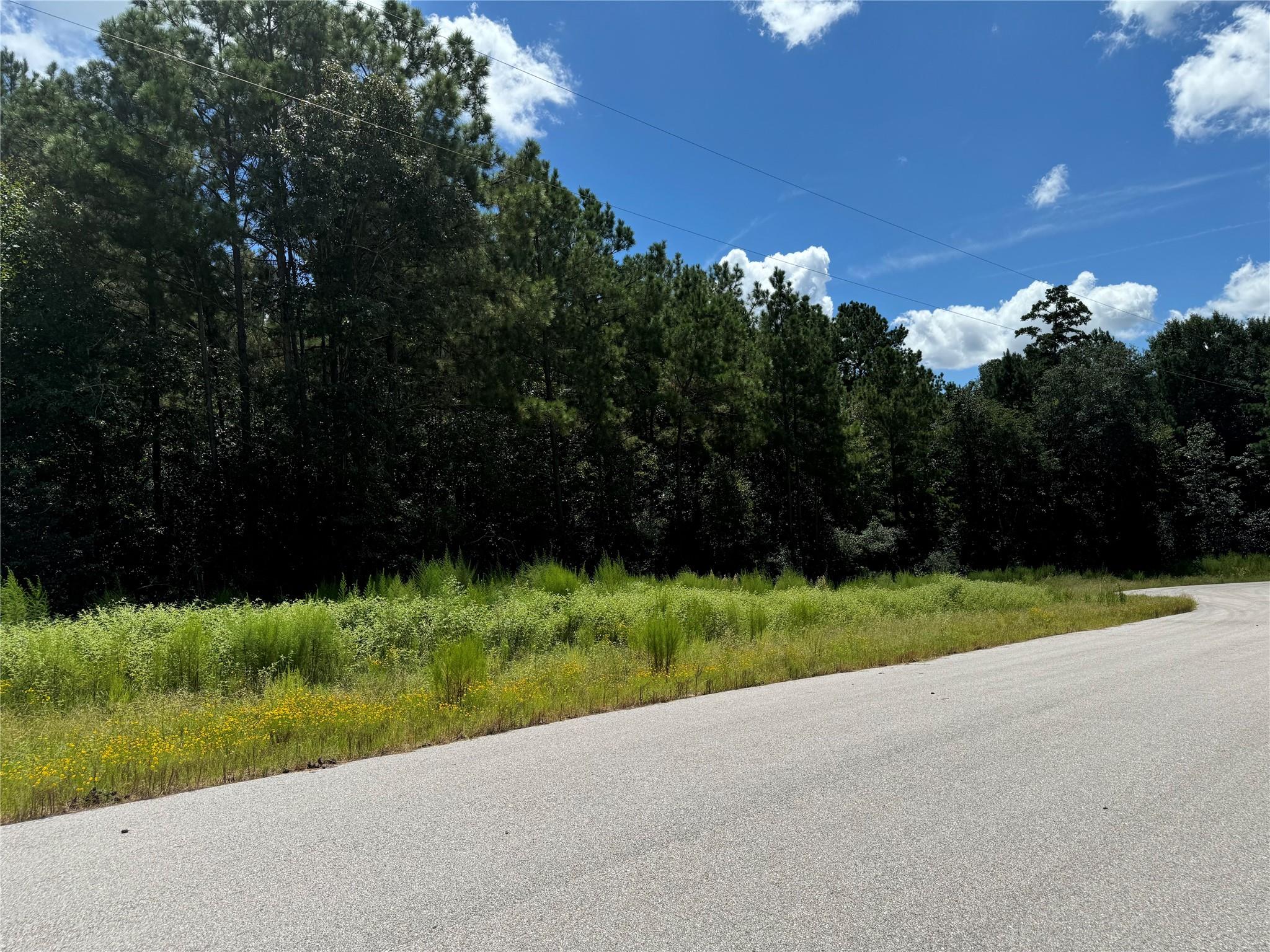 21-29-11 Diamond Lane