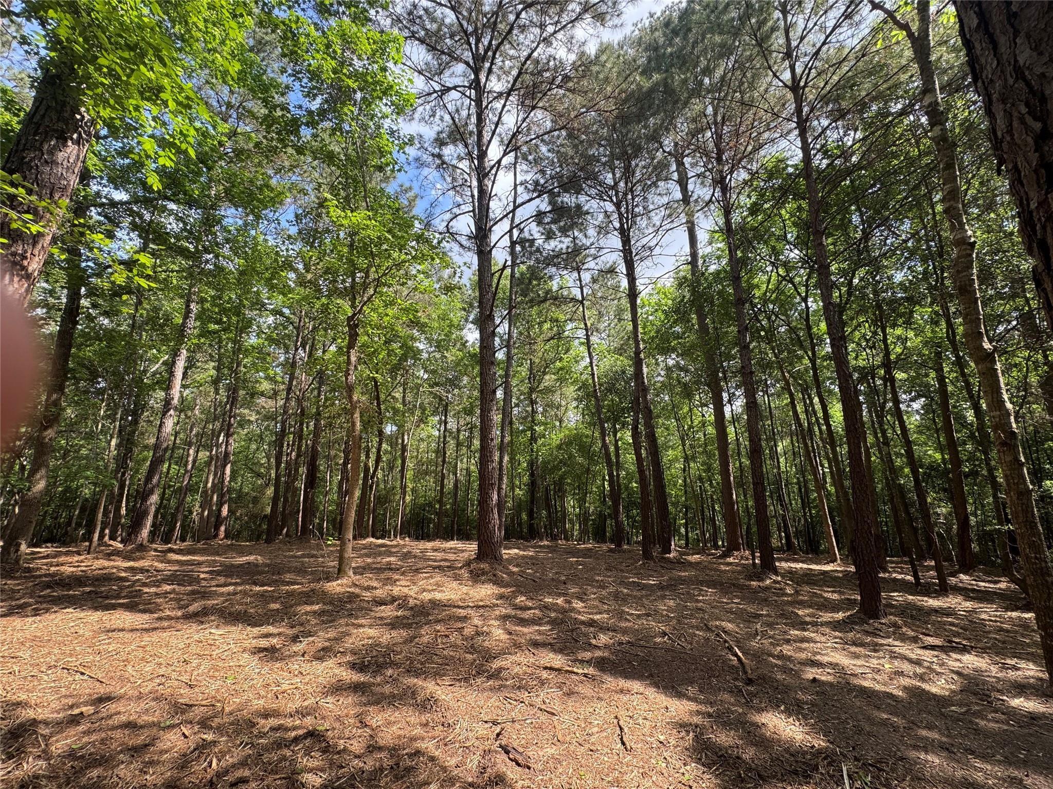 29 & 30-21-9 Windmill Road