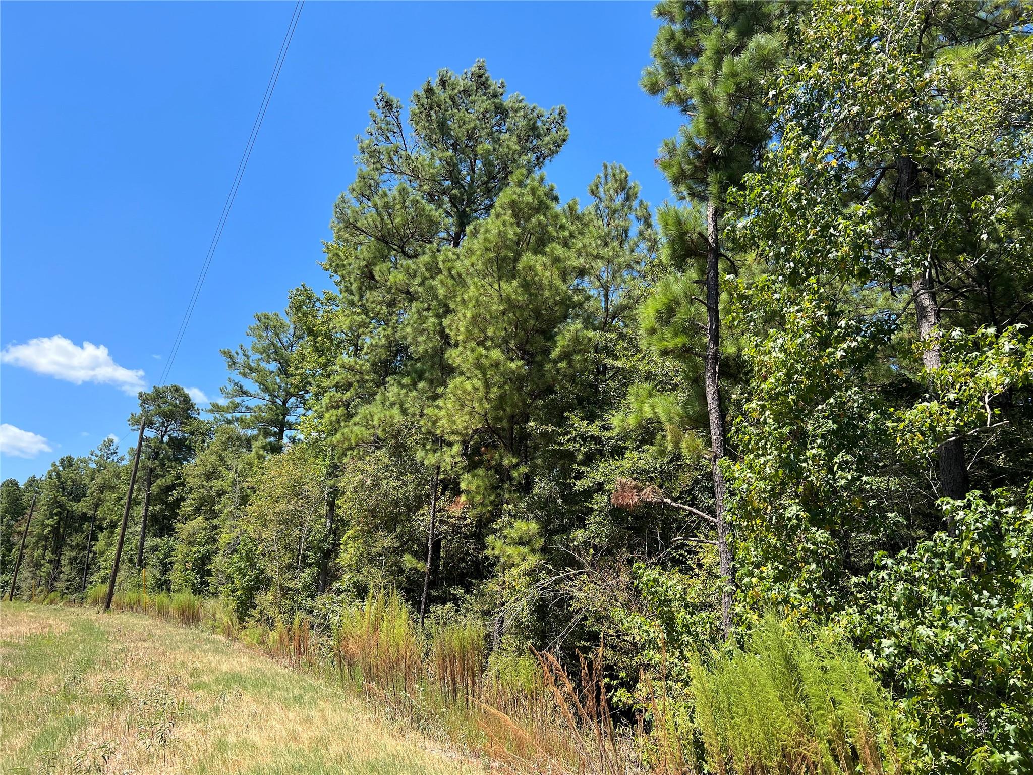 29 & 30-21-9 Windmill Road