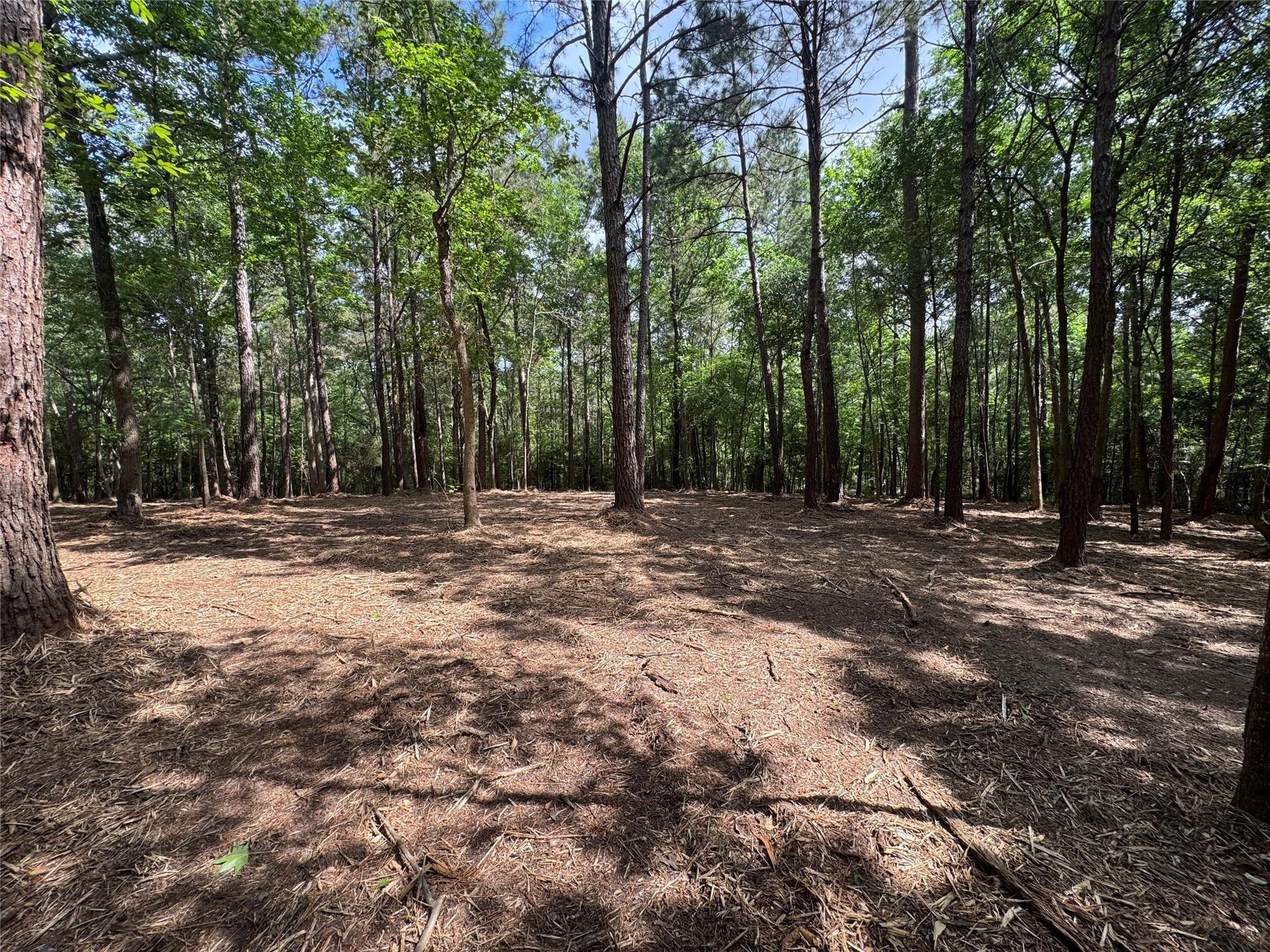 29 & 30-21-9 Windmill Road