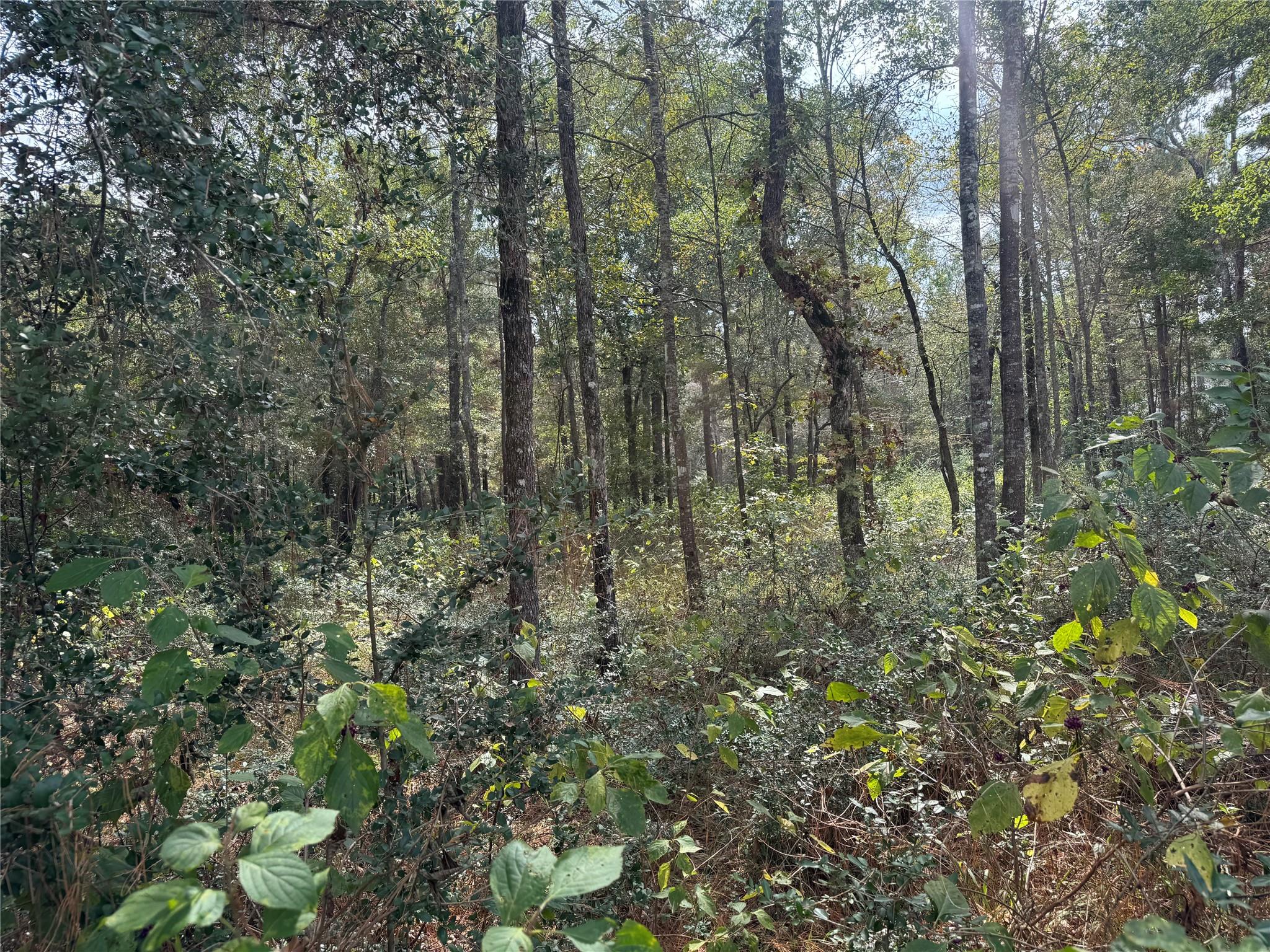 9-17-3B Winchester Road, Huntsville