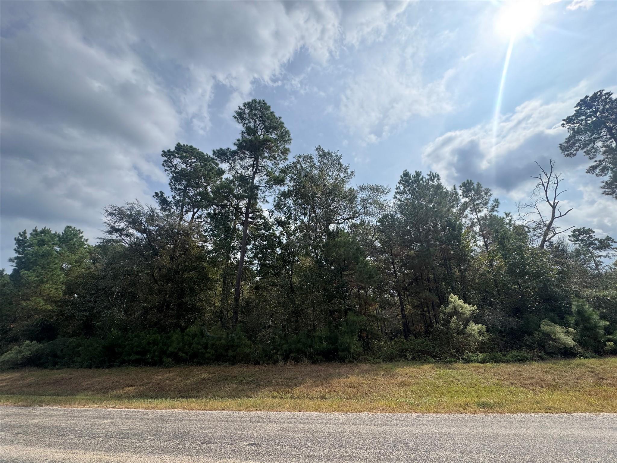 9-17-3B Winchester Road, Huntsville