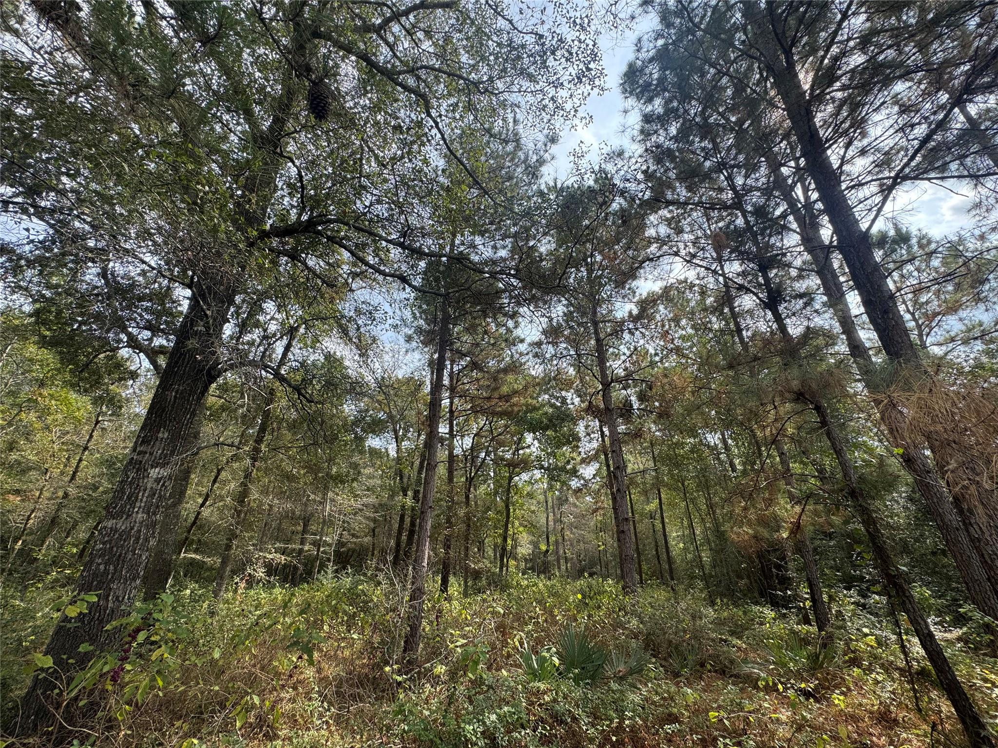 9-17-3B Winchester Road, Huntsville