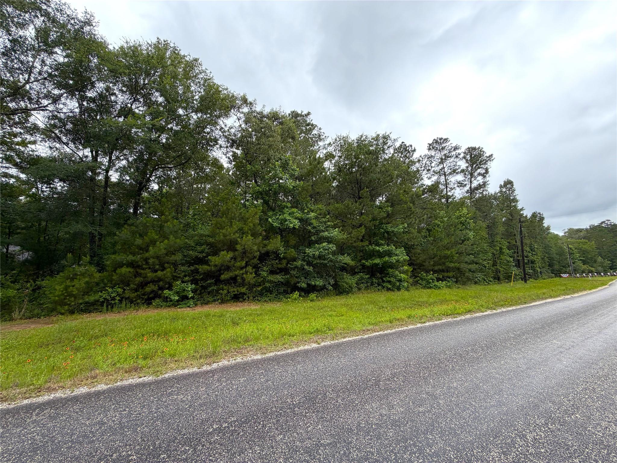 16-1-1 Texas Grand Road