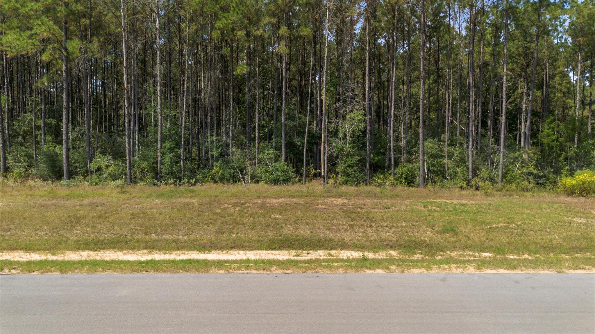 15896 Ridge Oak Road