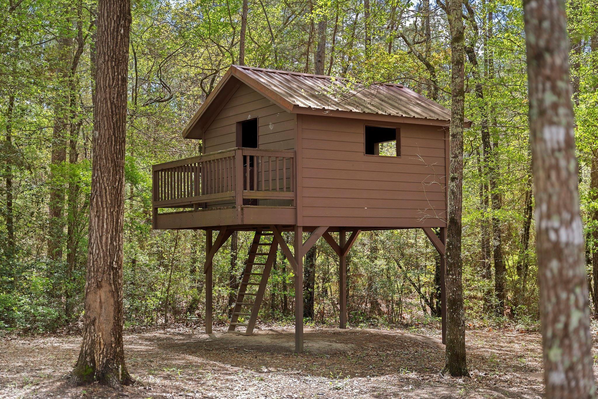 19-6-1 Dedication Trail