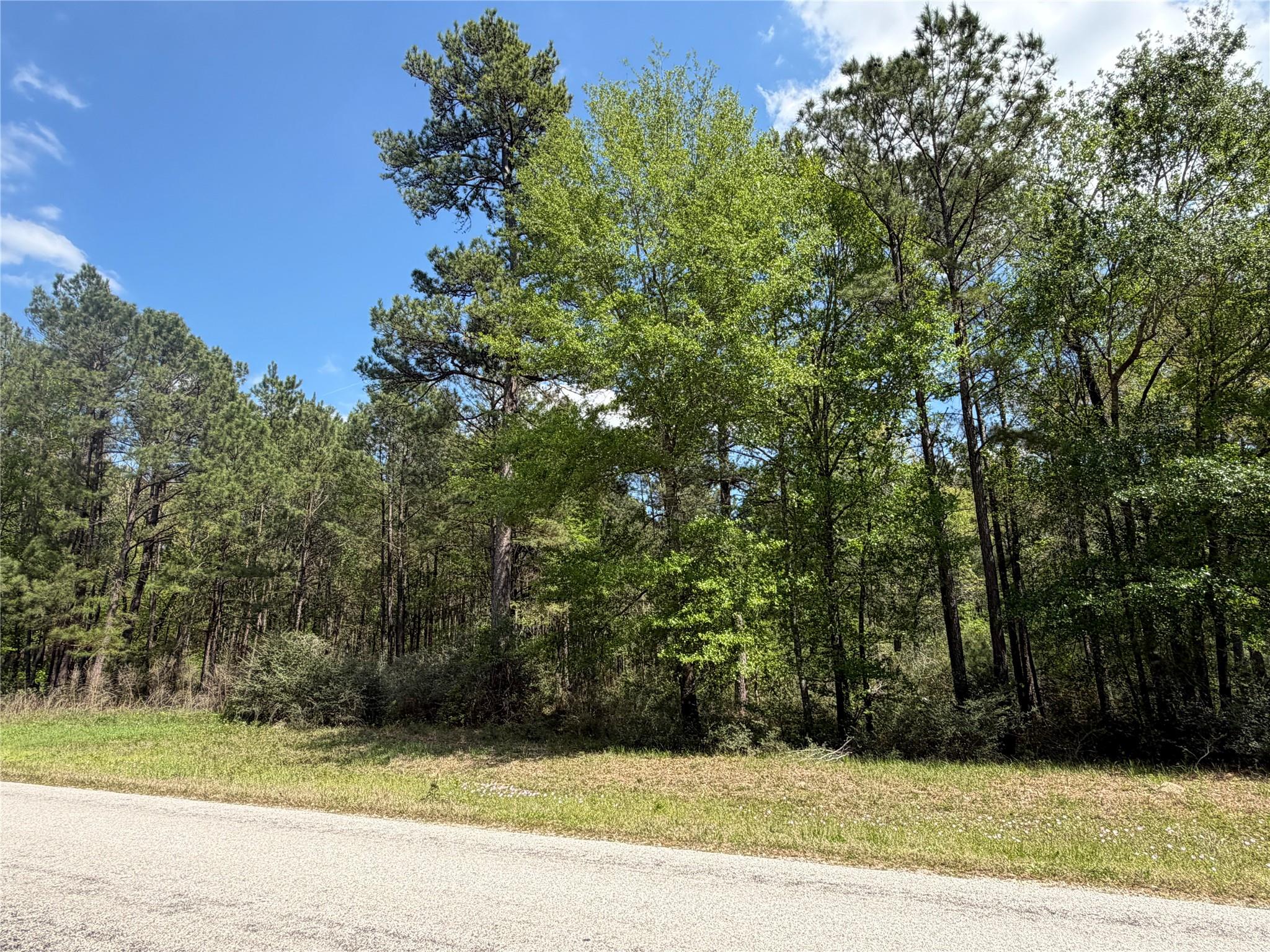 19-6-1 Dedication Trail