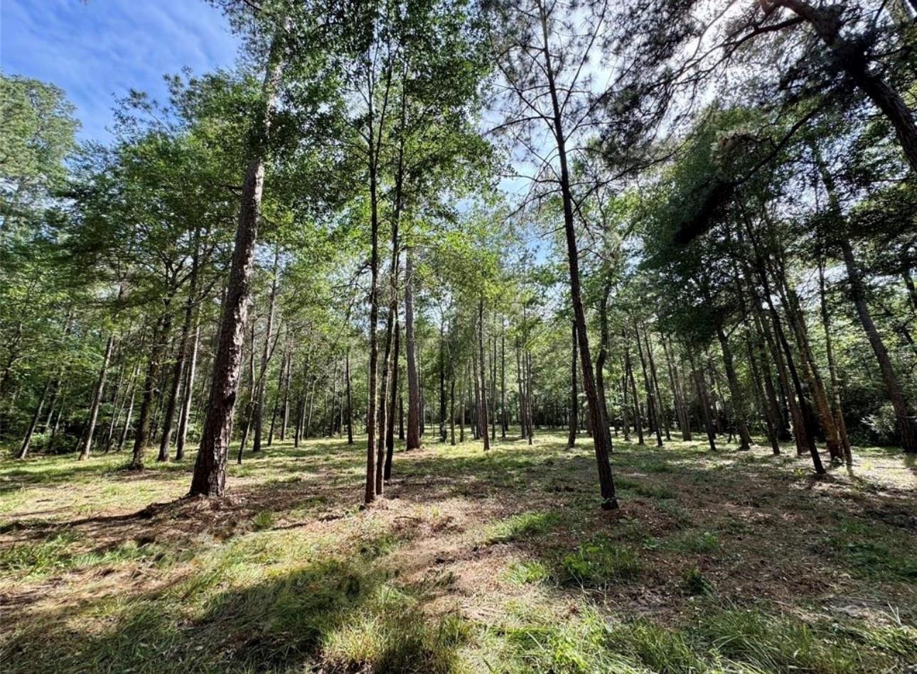 13a-1-1 Texas Grand Road