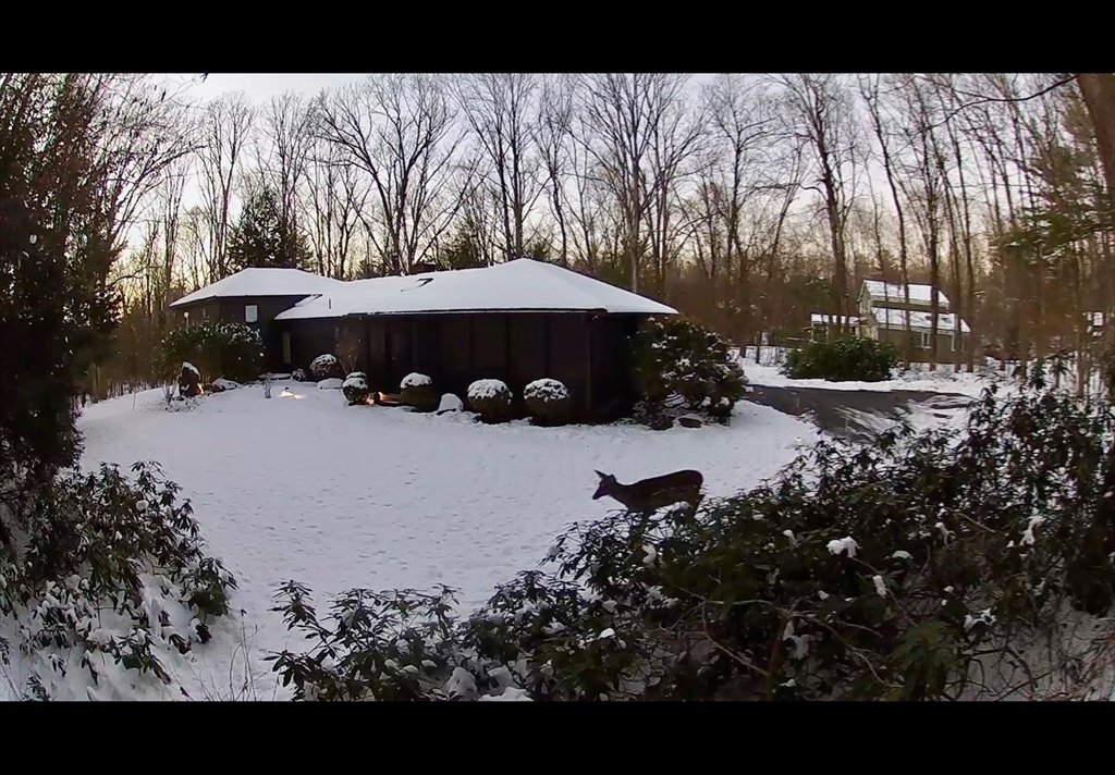 91 Woodlot Road
