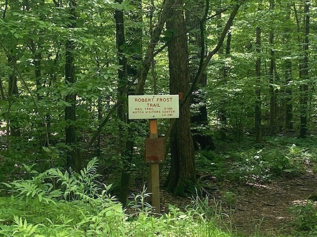 91 Woodlot Road