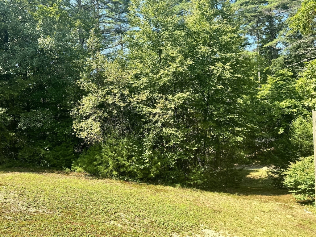 389 Leverett Rd