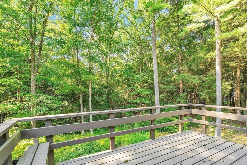 5 Evergreen Lane