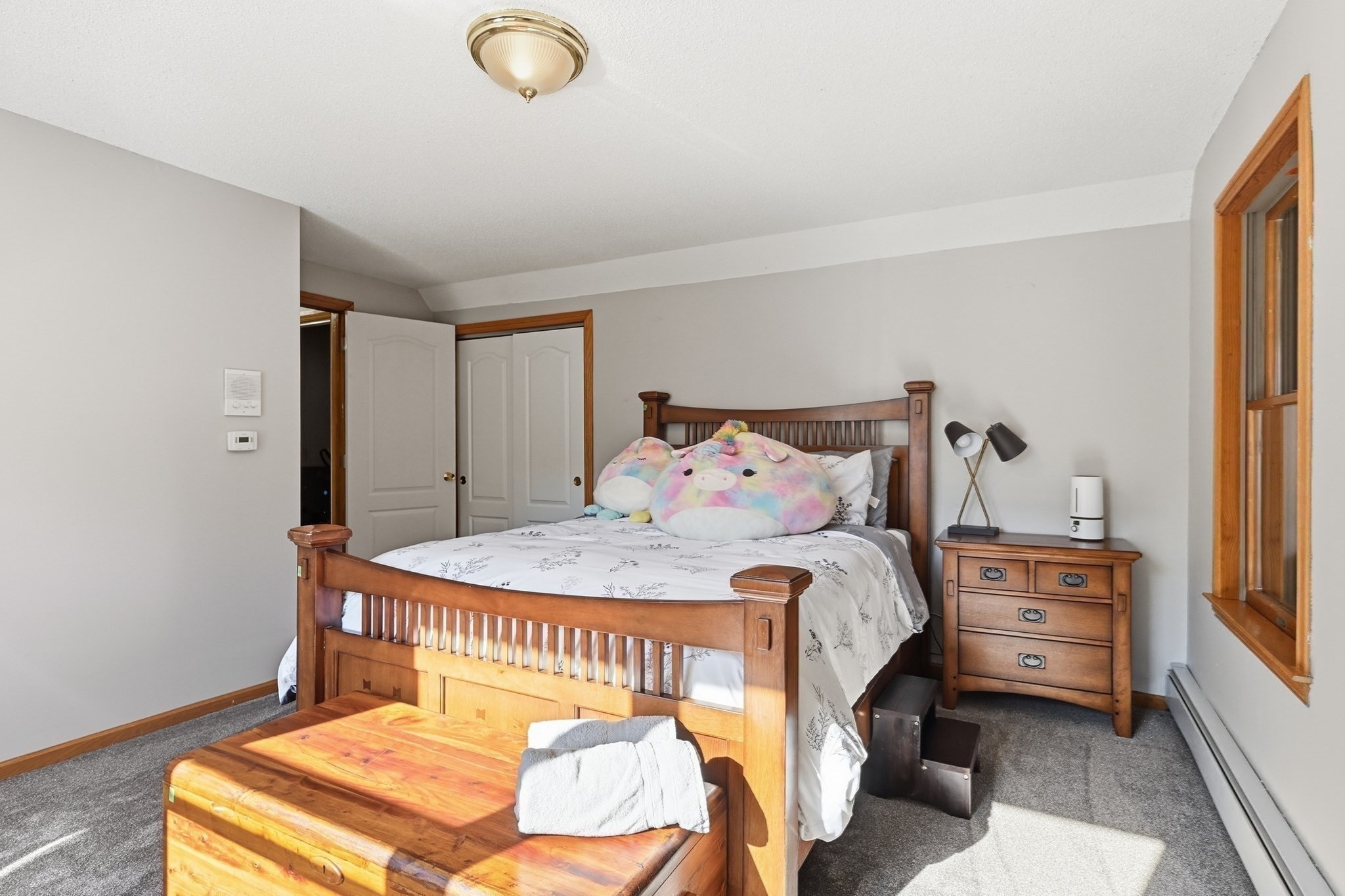 Furnished bedroom with a wooden bed, colorful plush toys, and sunlight across the carpet.