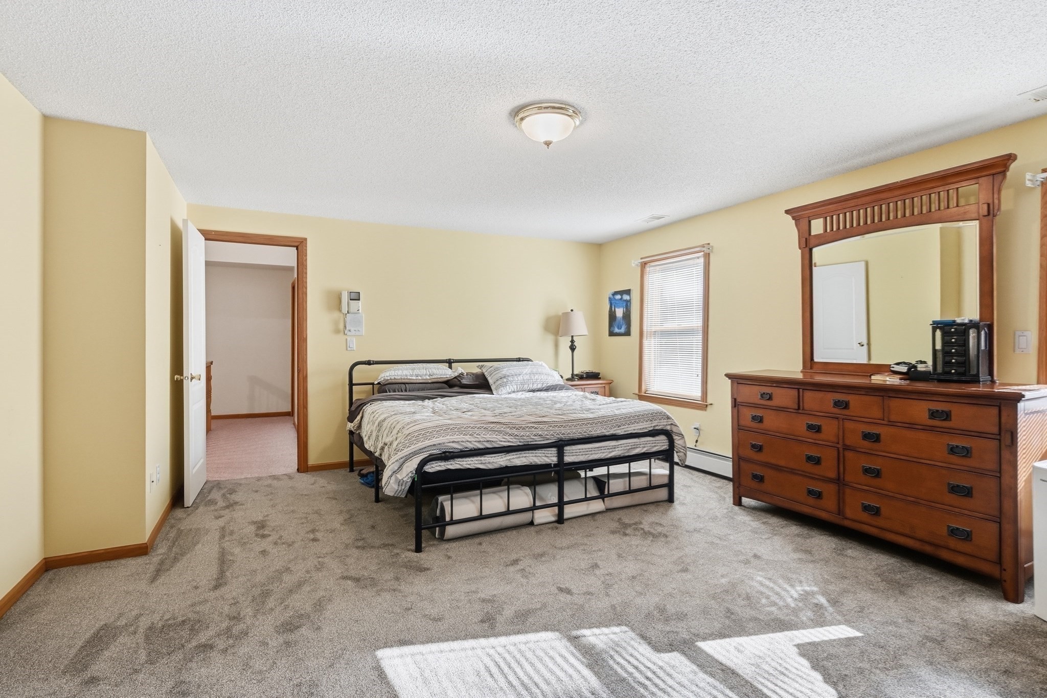 Furnished bedroom with a black metal bed, gray carpet, and large wooden dresser with mirror.