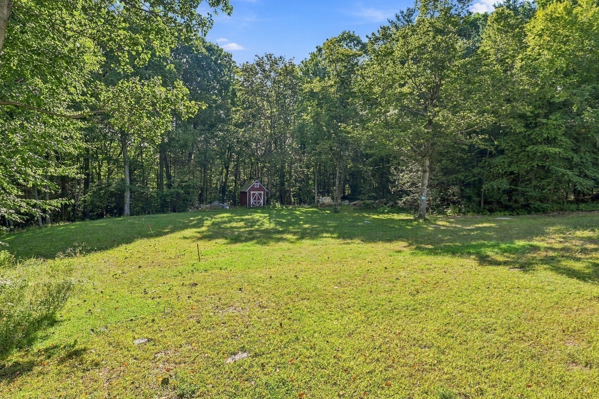 Grassy yard bordered by mature trees, with a small red shed at the back.