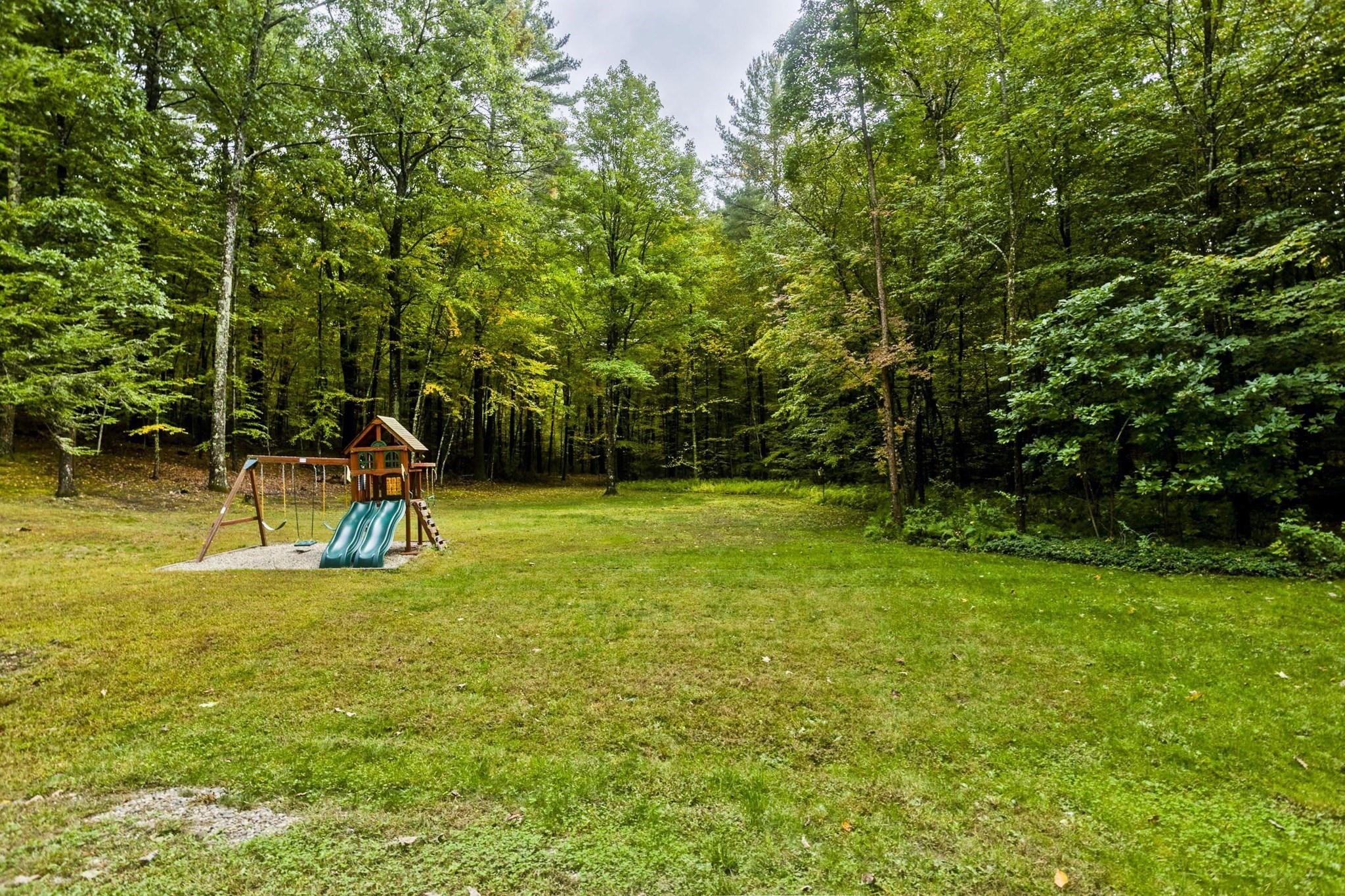 Grassy backyard bordered by woods, with a wooden playset and swings.