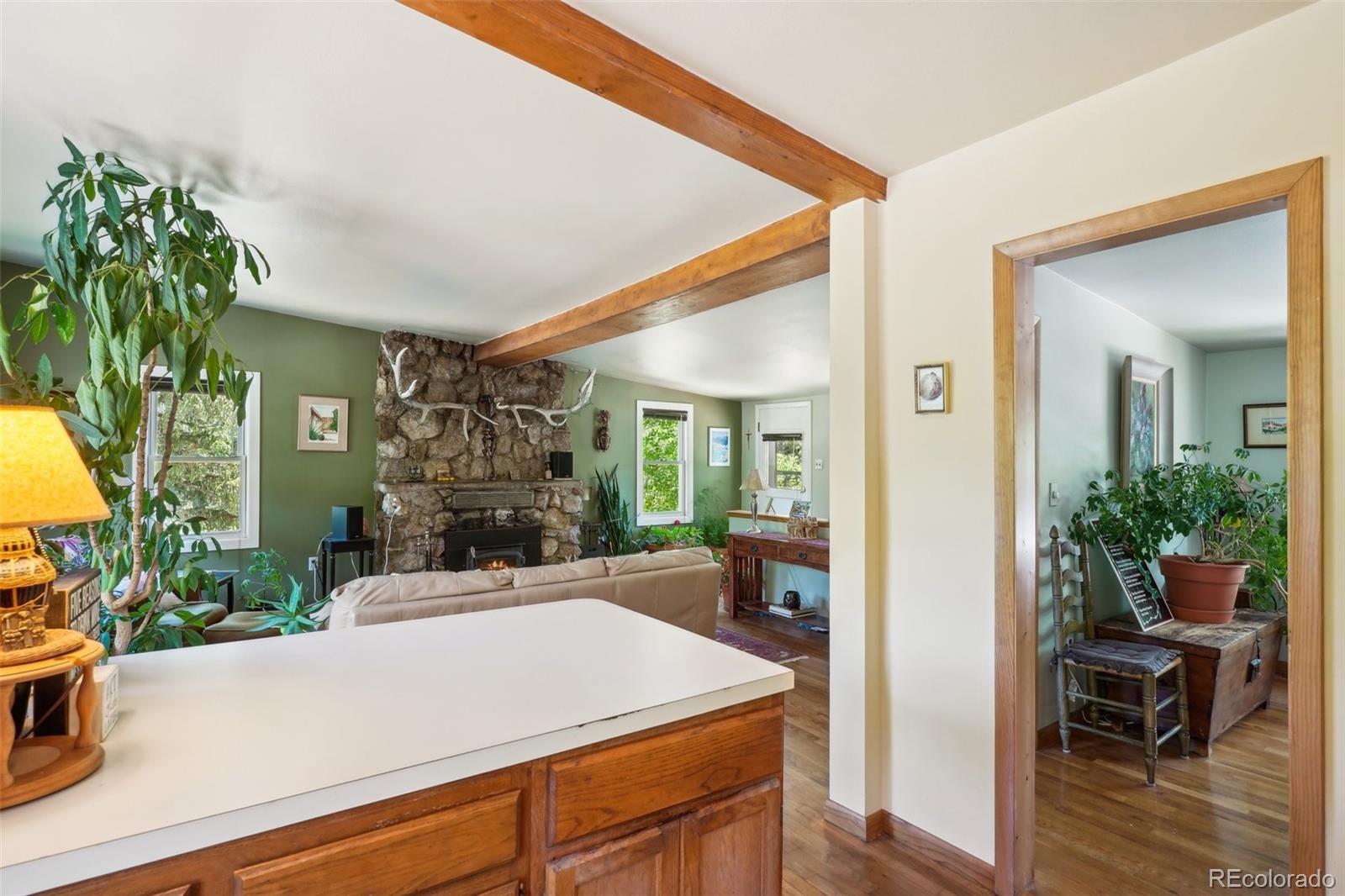 15 Gray Wolf Place