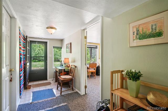 Entryway with a dark glass-panel front door, blue rug, wooden bench, and potted plant.