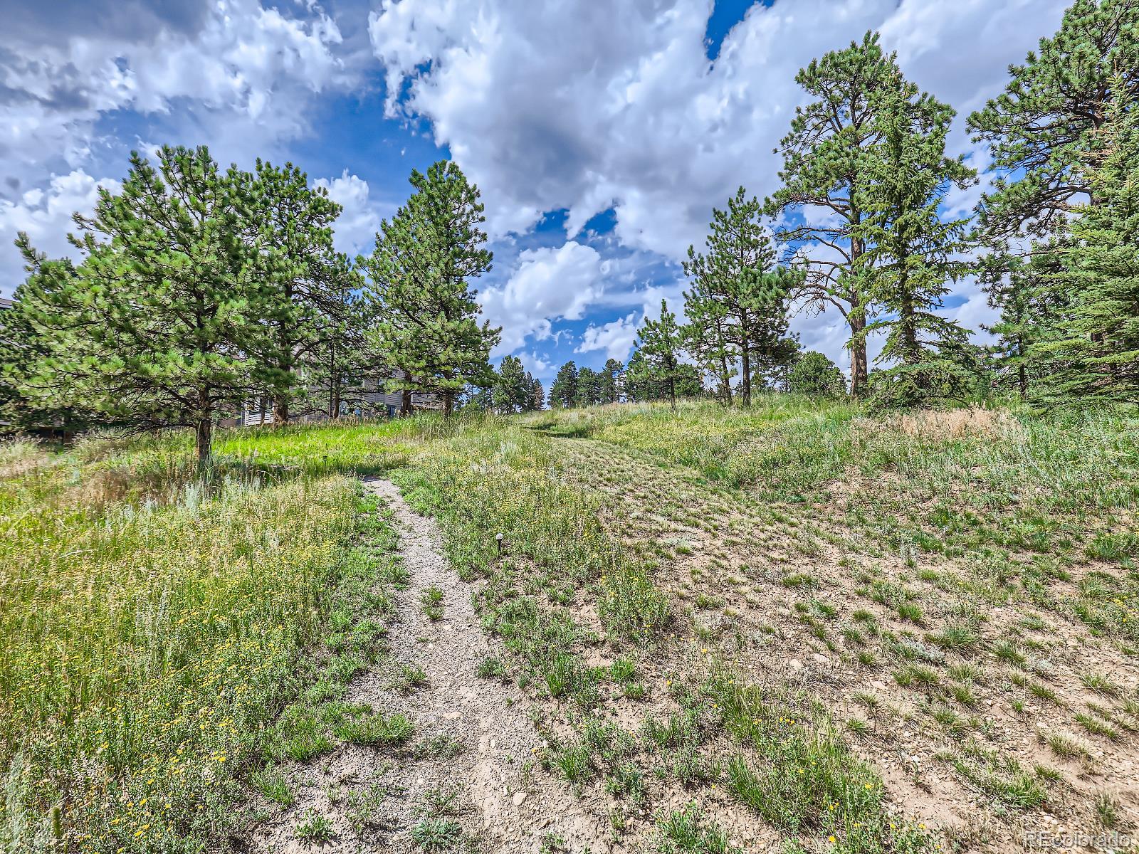 31819 Rocky Village Drive Unit: 209