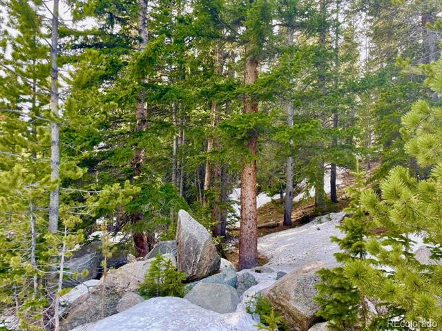 000 Lake Road