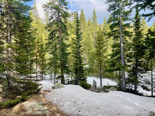 000 Lake Road