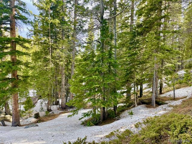 000 Lake Road