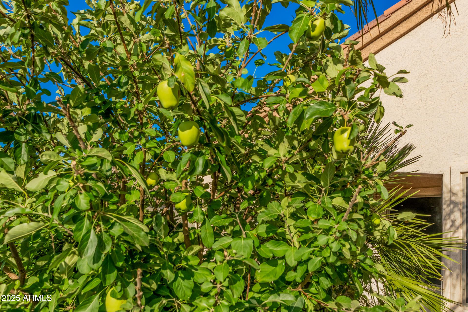 6762 S St Andrews Way