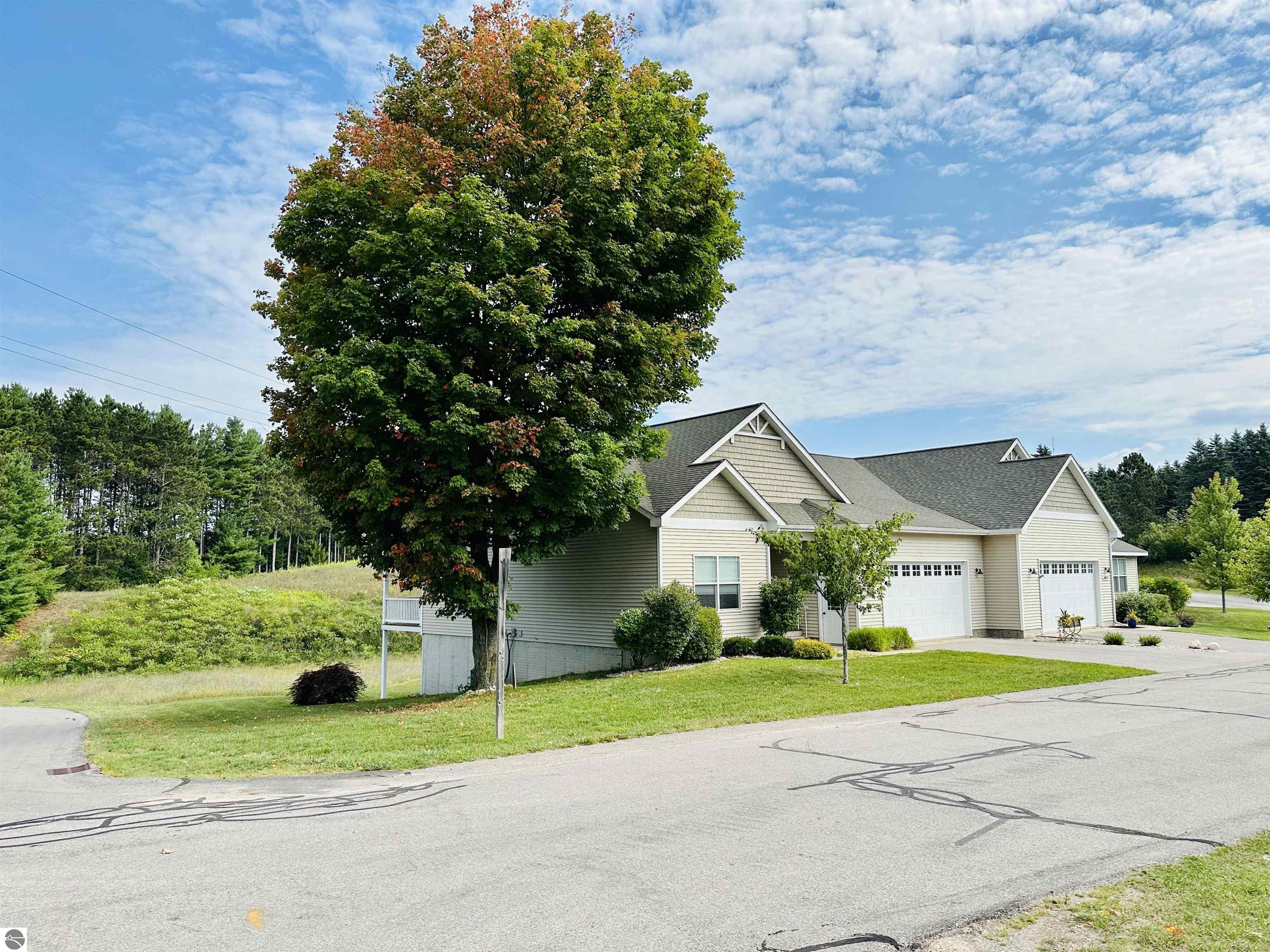 4615 Black Bear Drive