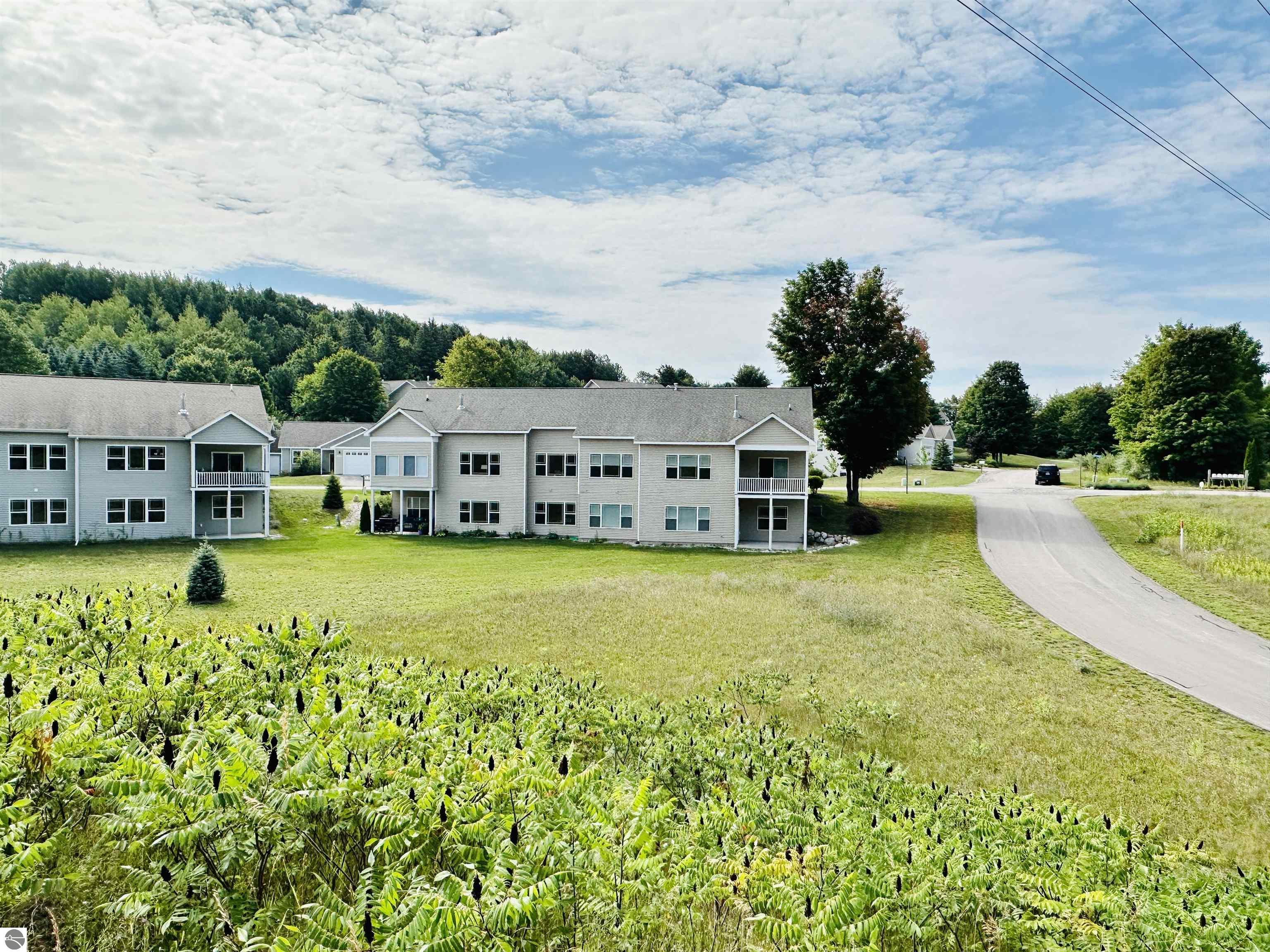 4615 Black Bear Drive