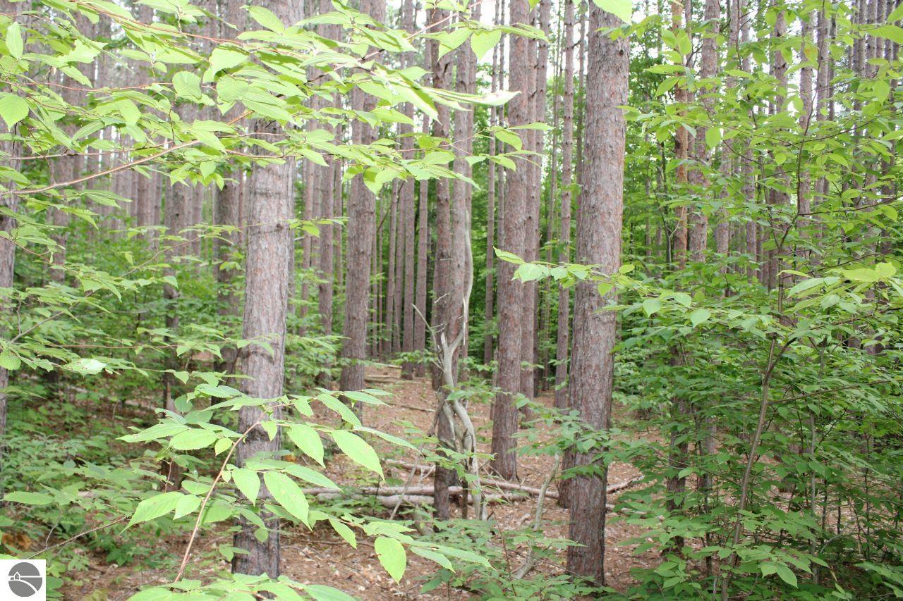 004 NE Apple Creek Road