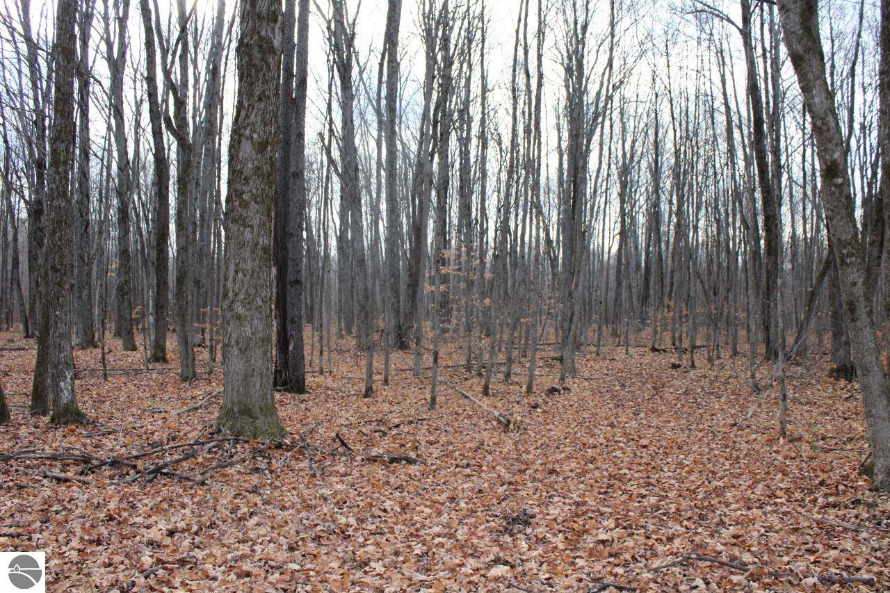 8162 NE Joes Road