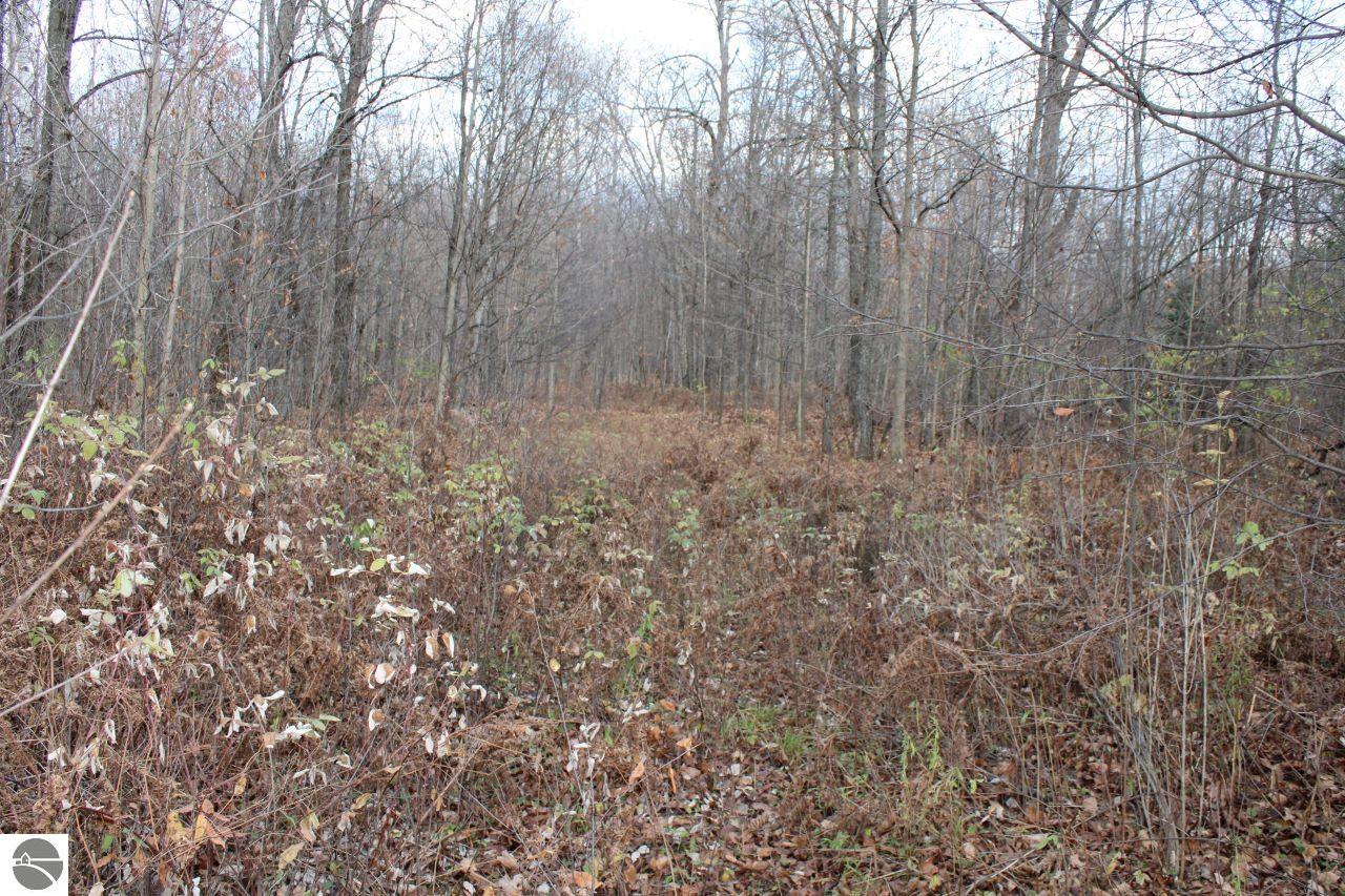 8162 NE Joes Road