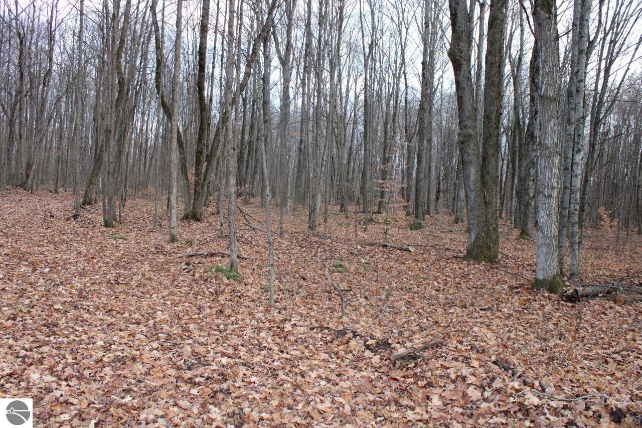 8162 NE Joes Road