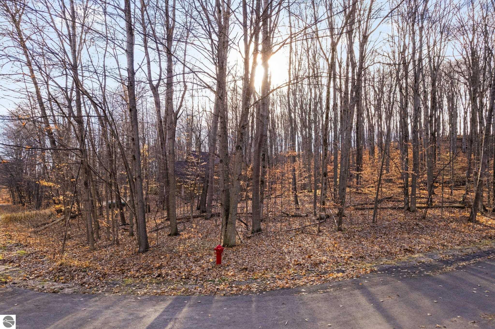 Lot 10 Heideldorf Drive