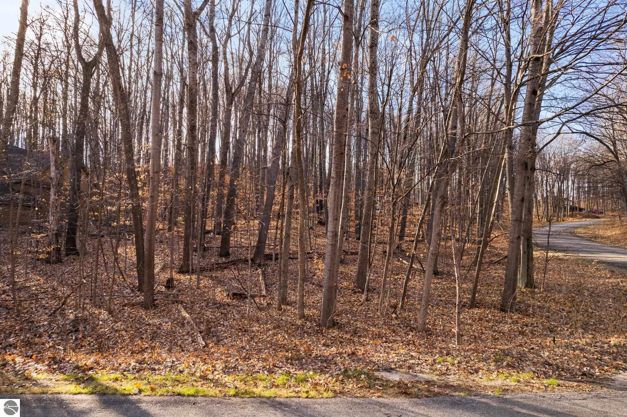 Lot 10 Heideldorf Drive
