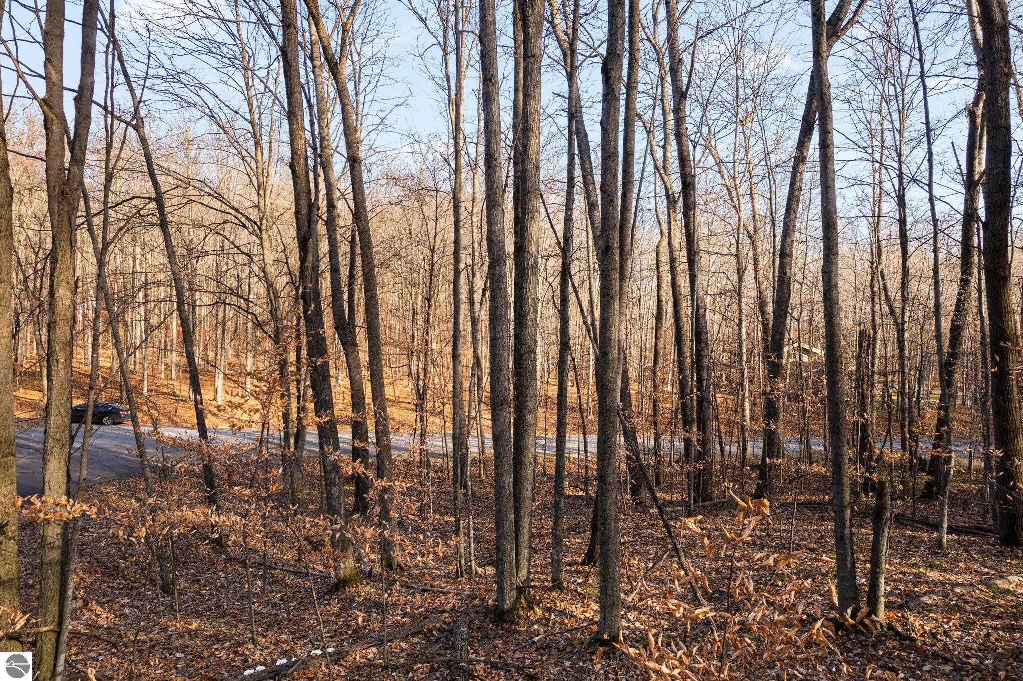 Lot 10 Heideldorf Drive