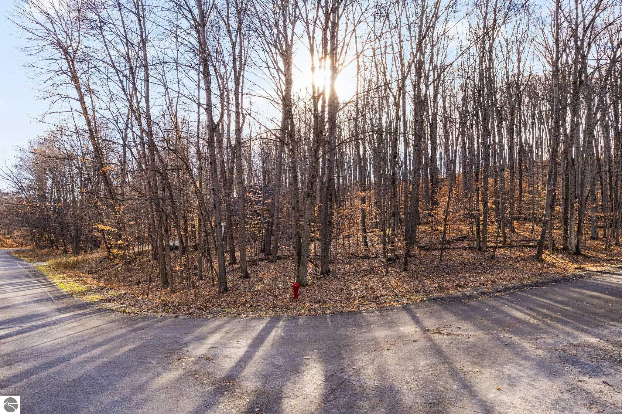 Lot 10 Heideldorf Drive