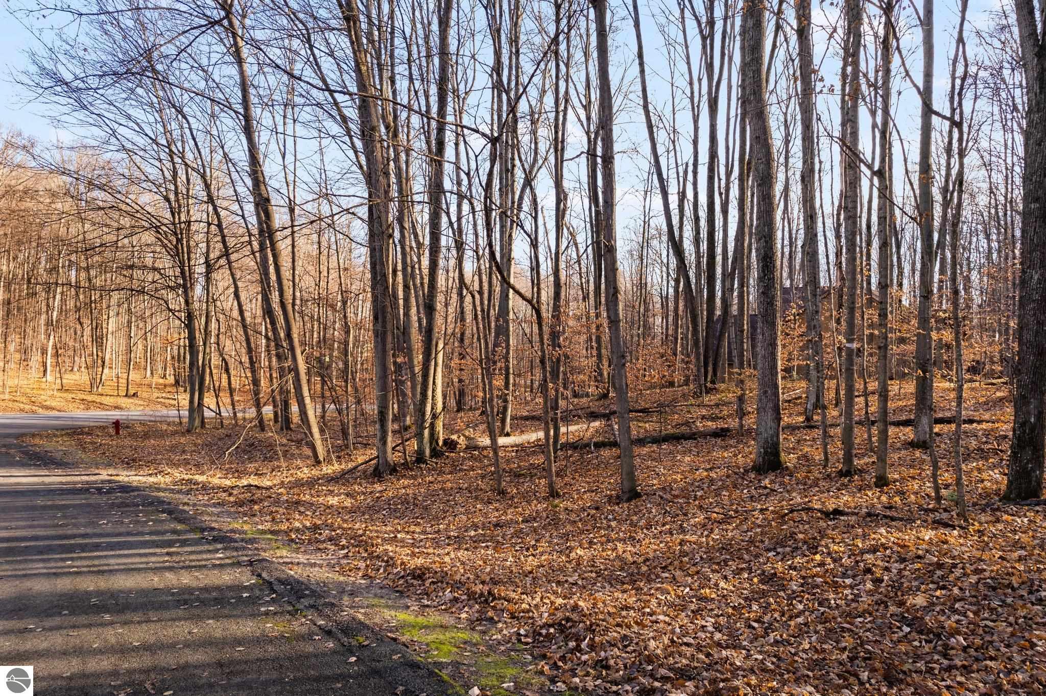 Lot 10 Heideldorf Drive