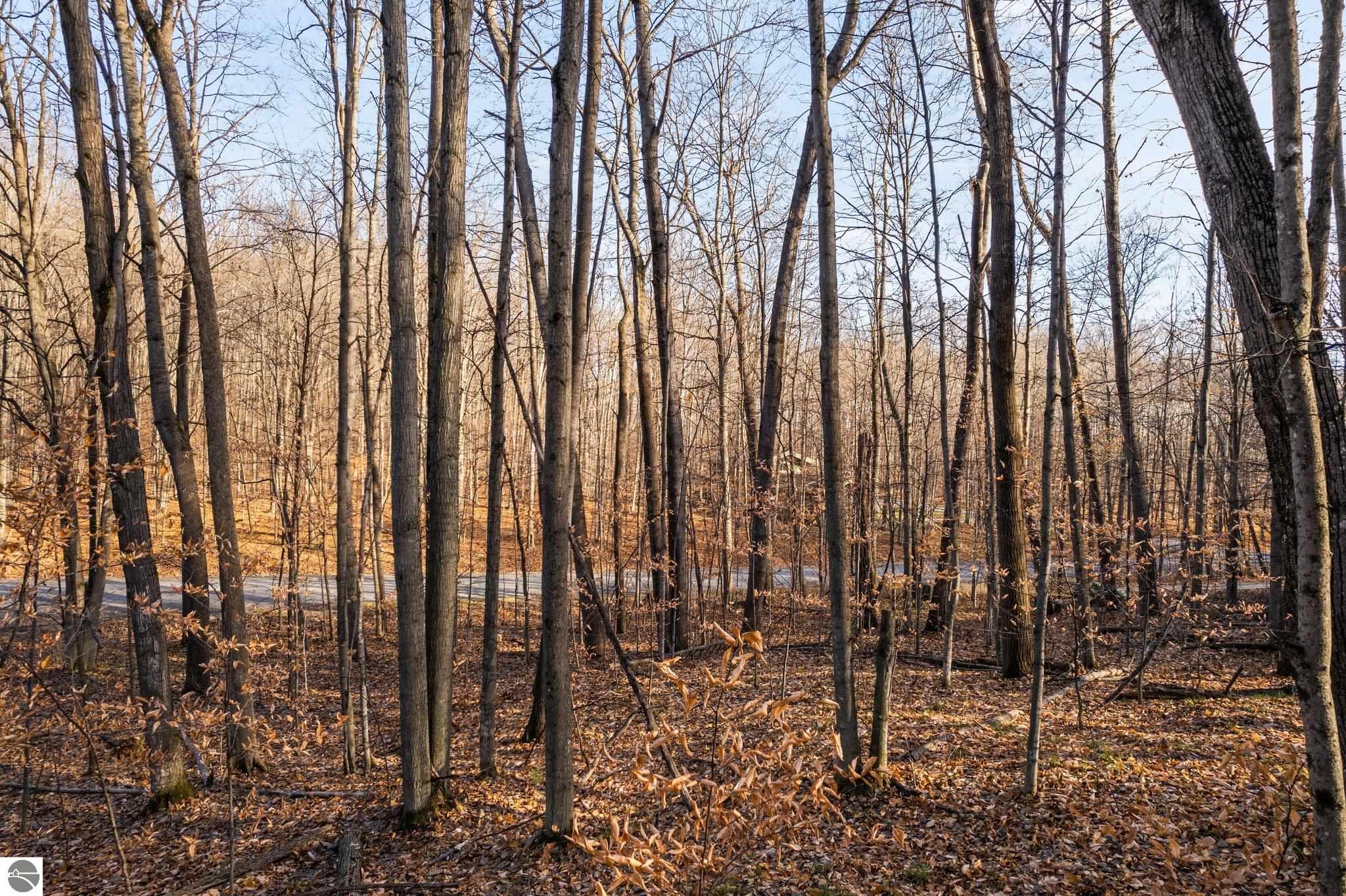 Lot 10 Heideldorf Drive