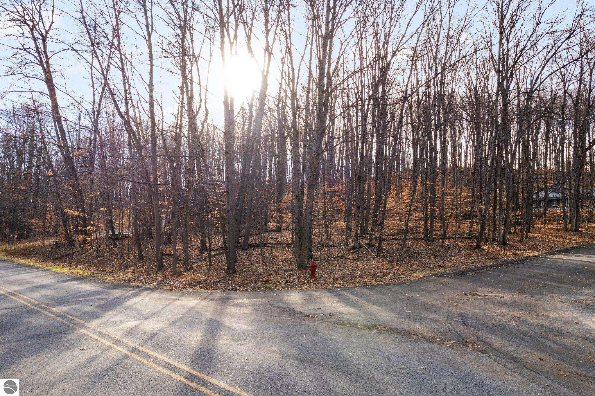 Lot 10 Heideldorf Drive