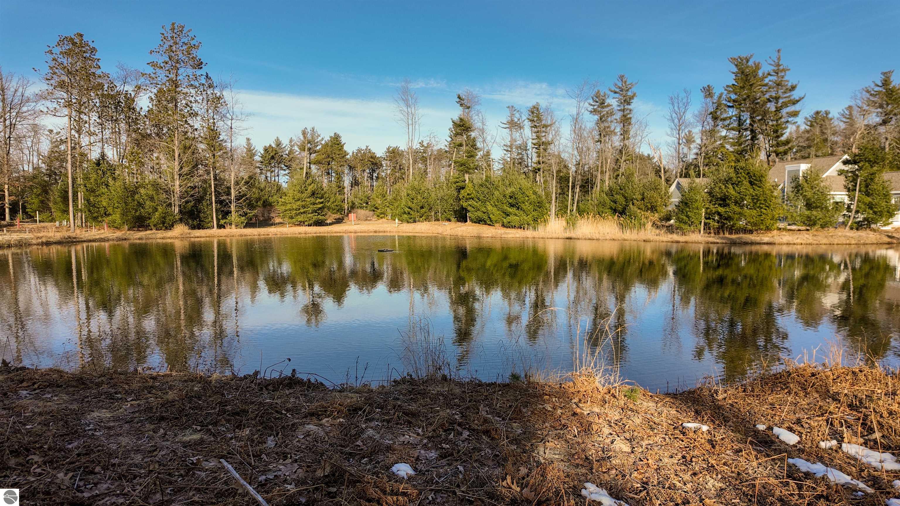 8 Frog Pond